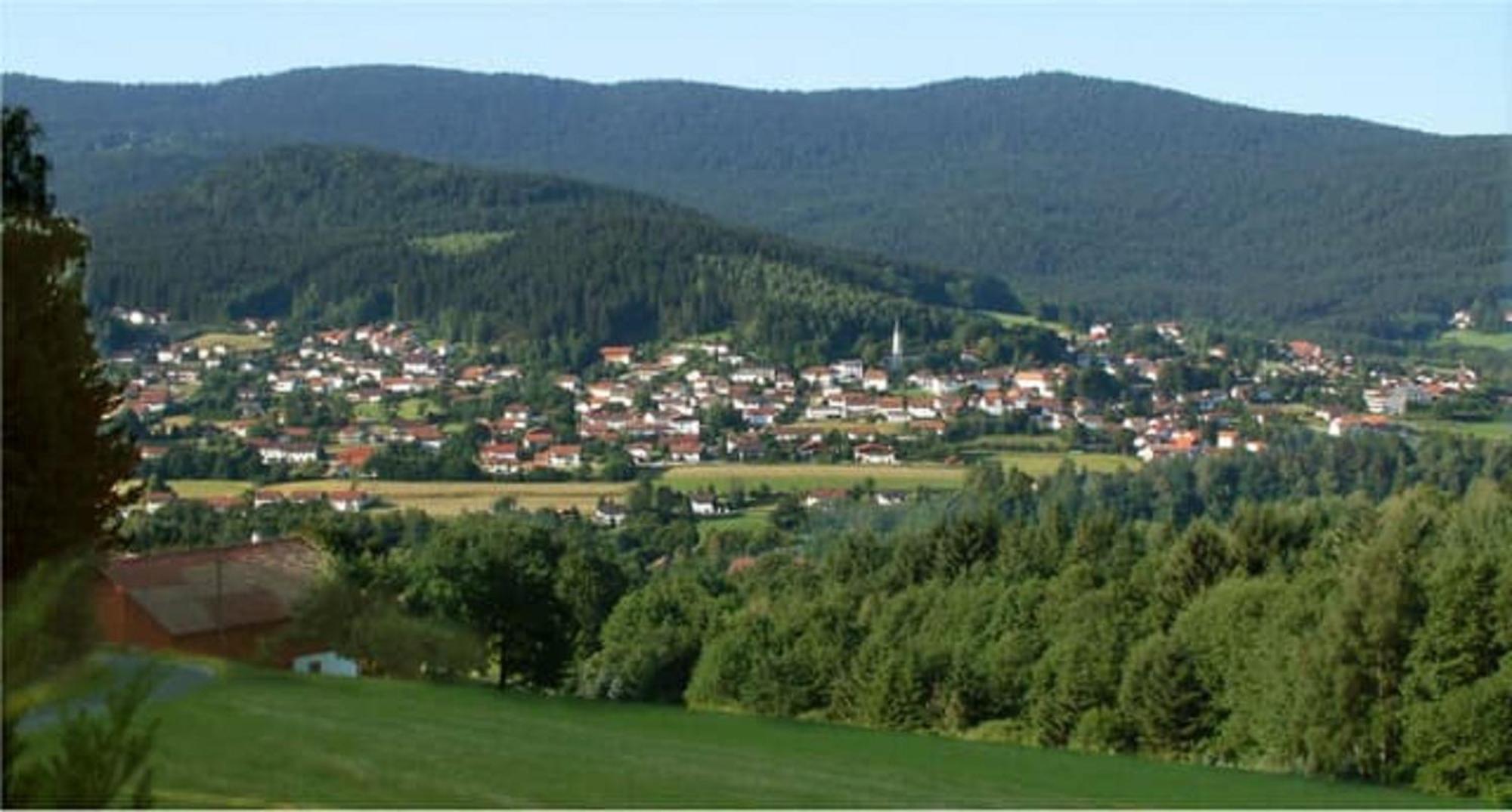 Ferienappartements-Grolik Im Aparthotel Zum Gutshof Hohenwarth ภายนอก รูปภาพ